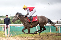 Abbeyfeale Horse and Pony Races 2016