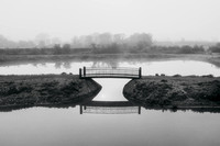 Eco Park Bridge Fog
