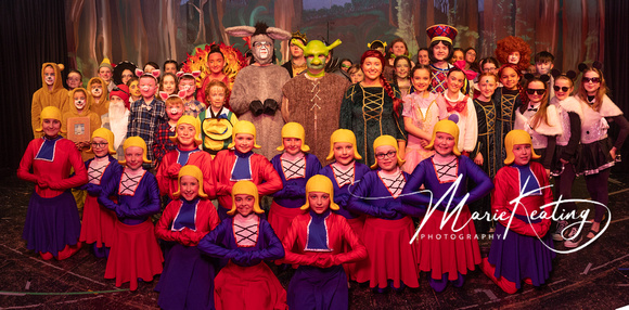 Shrek N1-14